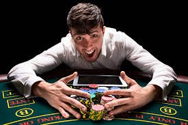 h22 bet h22 bet